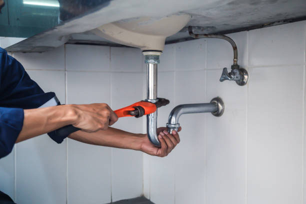 Best Local Plumber Services  in Delmont, PA